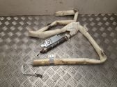 Airbag del techo