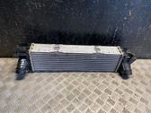 Intercooler radiator
