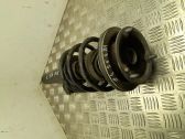 Front shock absorber with coil spring