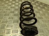 Muelle espiral trasero