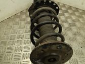 Front shock absorber with coil spring