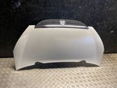 Motorhaube