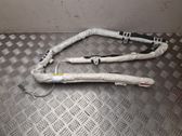 Roof airbag