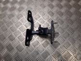 Tailgate/trunk/boot hinge