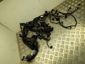 Other wiring loom