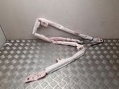 Airbag del techo