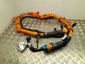 Other wiring loom
