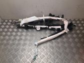 Airbag del techo