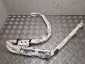 Airbag de toit