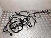Other wiring loom