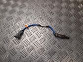 Lambda probe sensor