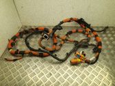 Other wiring loom