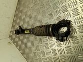 Stabilisator Adaptive Aktiv
