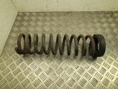 Front coil spring