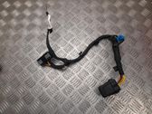 Other wiring loom