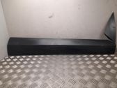 Other sill/pillar trim element