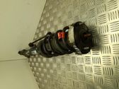 Front shock absorber with coil spring
