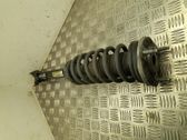 Amortiguador delantero con muelle espiral