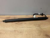 Tailgate/trunk strut/damper