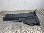 Moldura del limpia