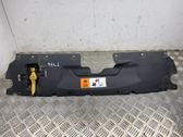 Radiator trim