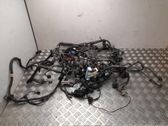 Otros cableados