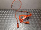 Other wiring loom