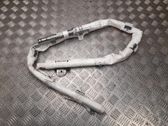 Airbag de toit