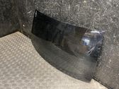 Rear windscreen/windshield window