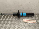 Front shock absorber/damper