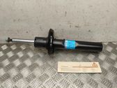 Front shock absorber/damper