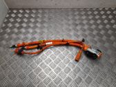 Other wiring loom