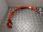 Other wiring loom