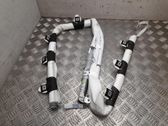 Airbag de toit