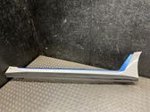 Front sill (body part)