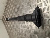 Rear shock absorber/damper