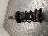 Front shock absorber with coil spring