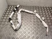 Airbag de toit