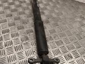 Rear shock absorber/damper