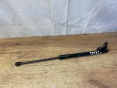 Tailgate/trunk strut/damper