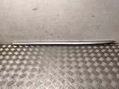 Rear door trim (molding)