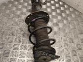 Front shock absorber with coil spring