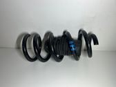 Front coil spring