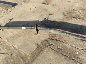 Drive shaft (set)