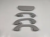 A set of handles for the ceiling