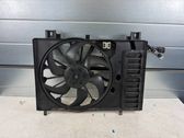 Electric radiator cooling fan