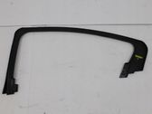 Rear door glass trim molding
