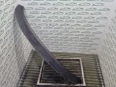 Moldura del limpia