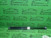 Tailgate/trunk strut/damper