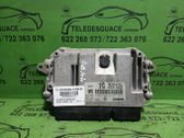 Engine control unit/module ECU